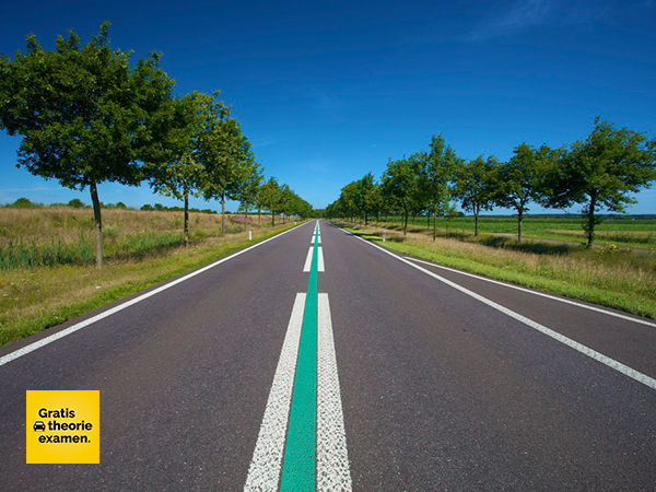 De autoweg is bedoeld voor het gebruik van motorvoertuigen die: