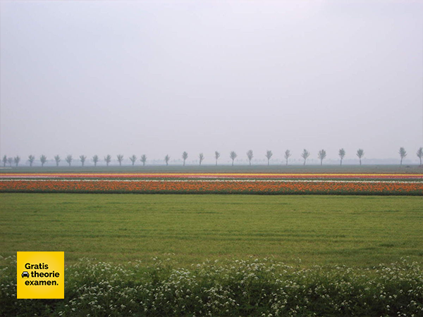 Wat is polderblindheid: