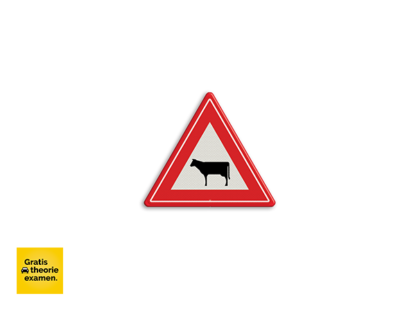 Wat betekent dit verkeersbord