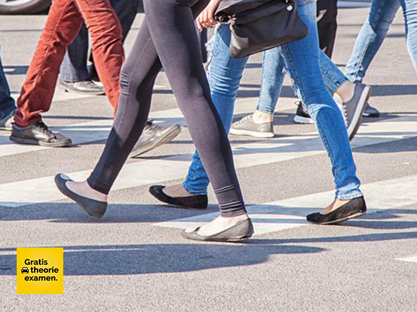 Welke stelling is juist over voetgangers?